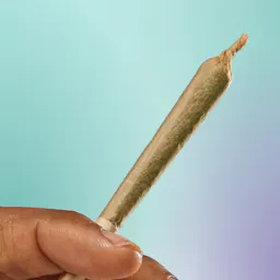 Pre-Rolls category image