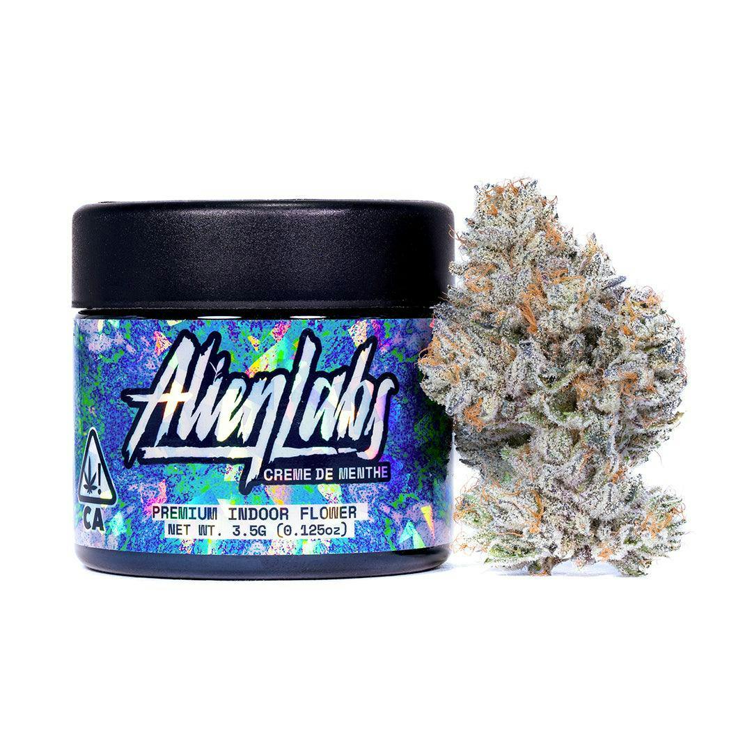 Product Image Alt