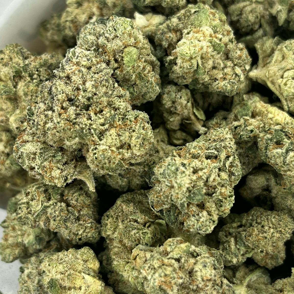 Photo of Gold Shelf – Juiceee J (H)