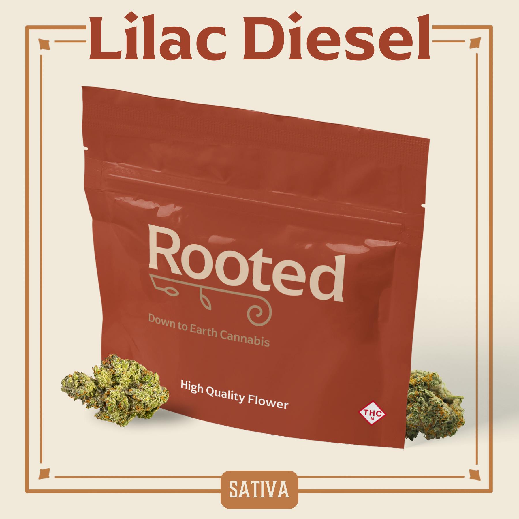 ROOTED - PREPACK - 14G - LILAC DIESEL - SATIVA - 420 | Key