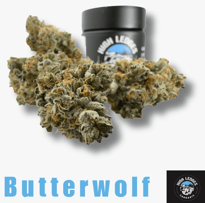 Product Butterwolf Buds