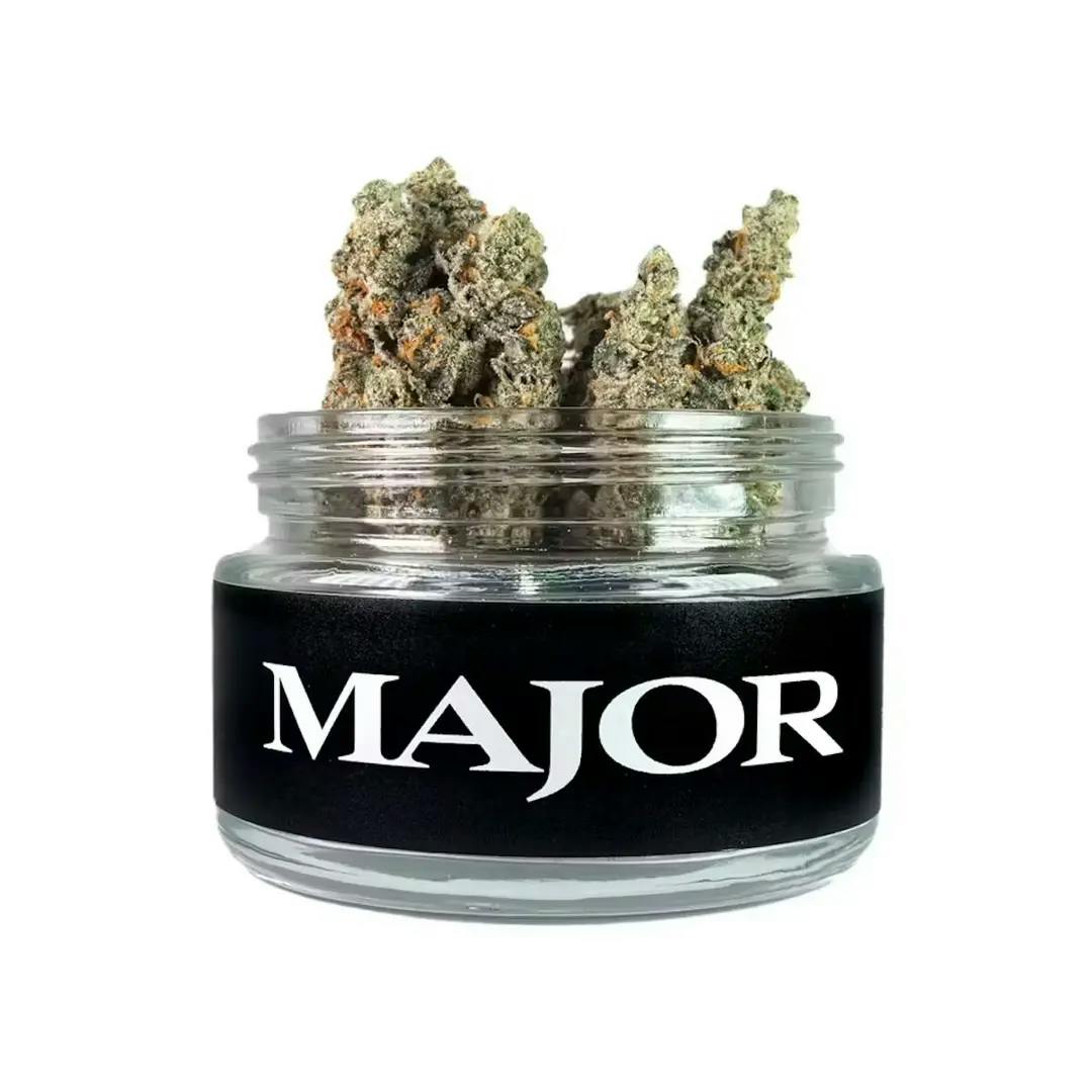 Major | Sour Grapes | 3.5g