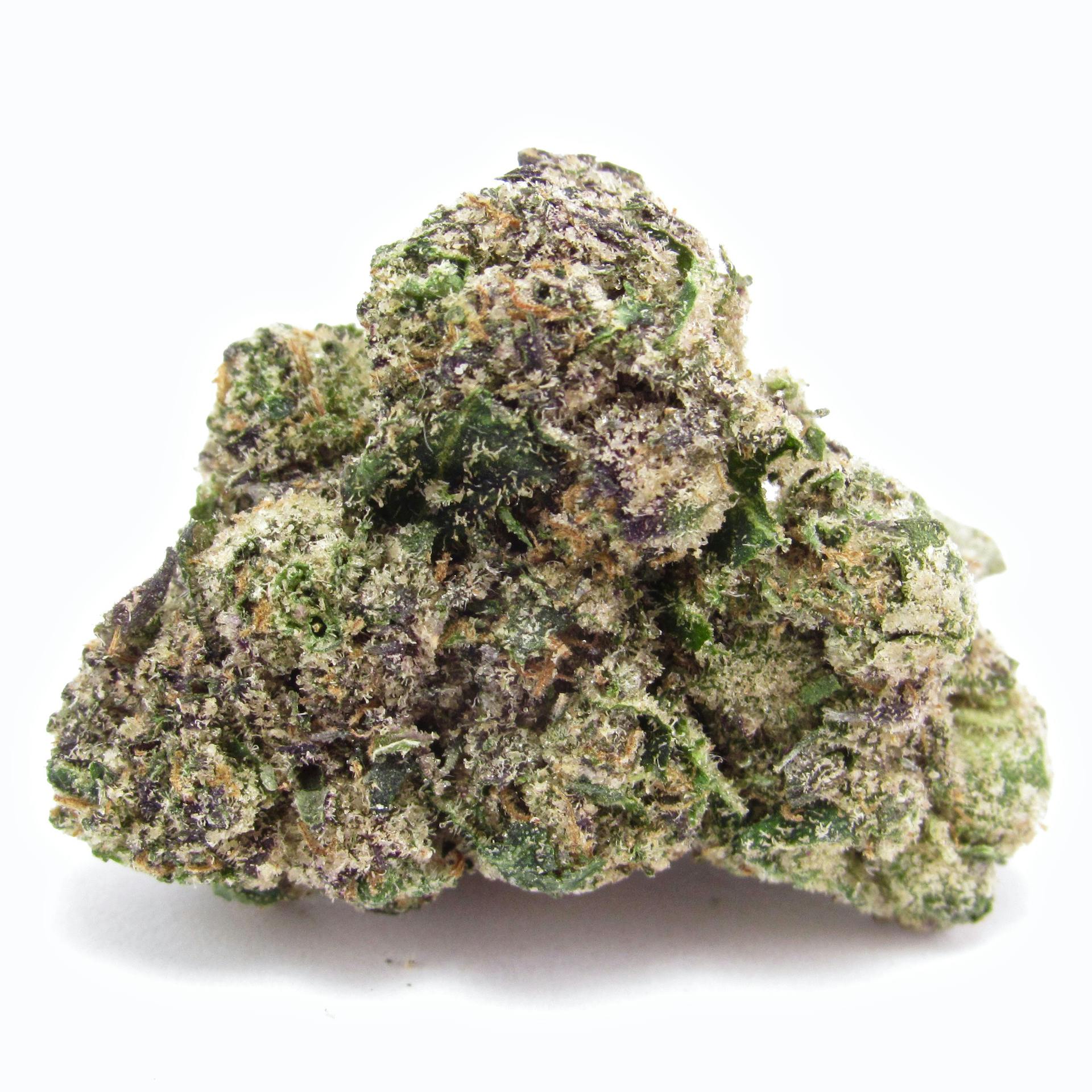 image of Jokerz 31