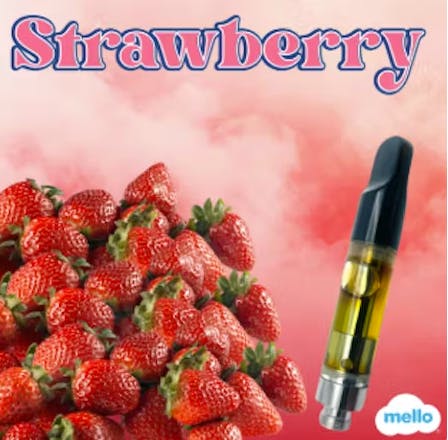 elfbar nachfüll pod läuft aus Strawberry Mango Fume Mini Vape