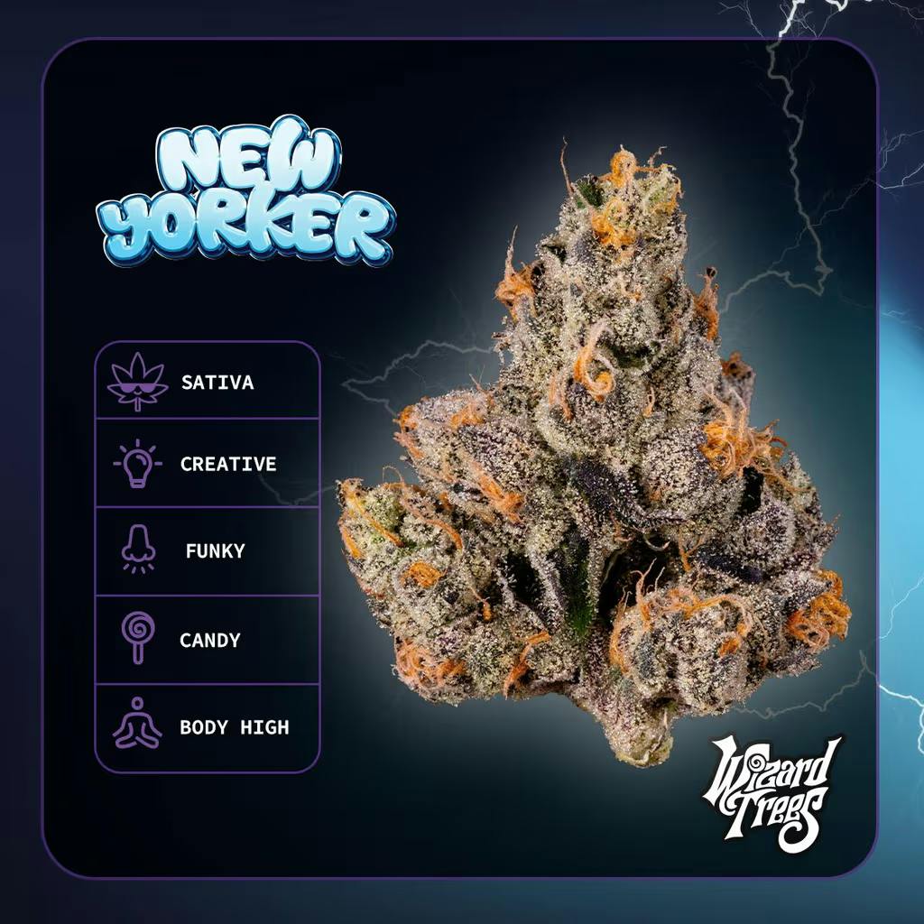 Wizard Trees New Yorker 3.5g Indoor Flower