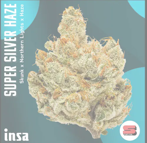 Super Silver Haze | 14g-active