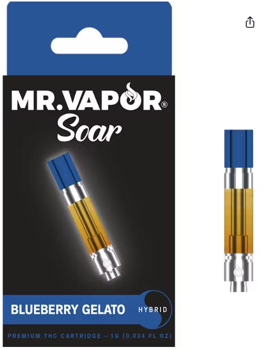 Mr. Vapor - Blueberry Gelato (H) - 1g Vape