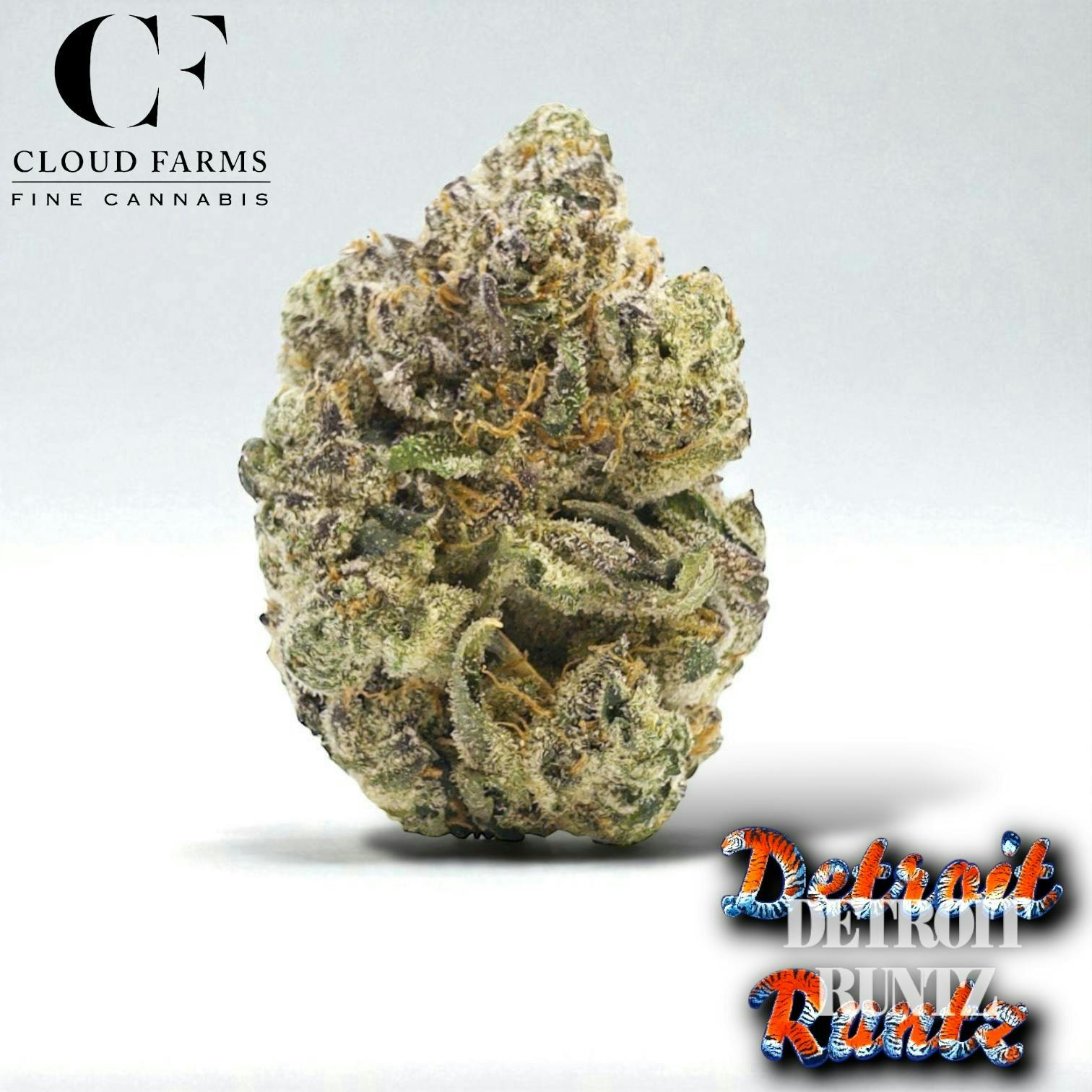 Product: Cloud Farms | Bulk Bud - Detroit Runtz