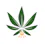 dispensary logo