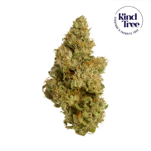 Kind Tree | Cherry Slushee | Popcorn | 7g-1