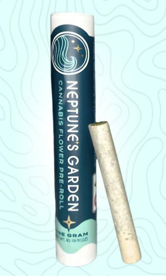 Black Cherry Punch - Preroll