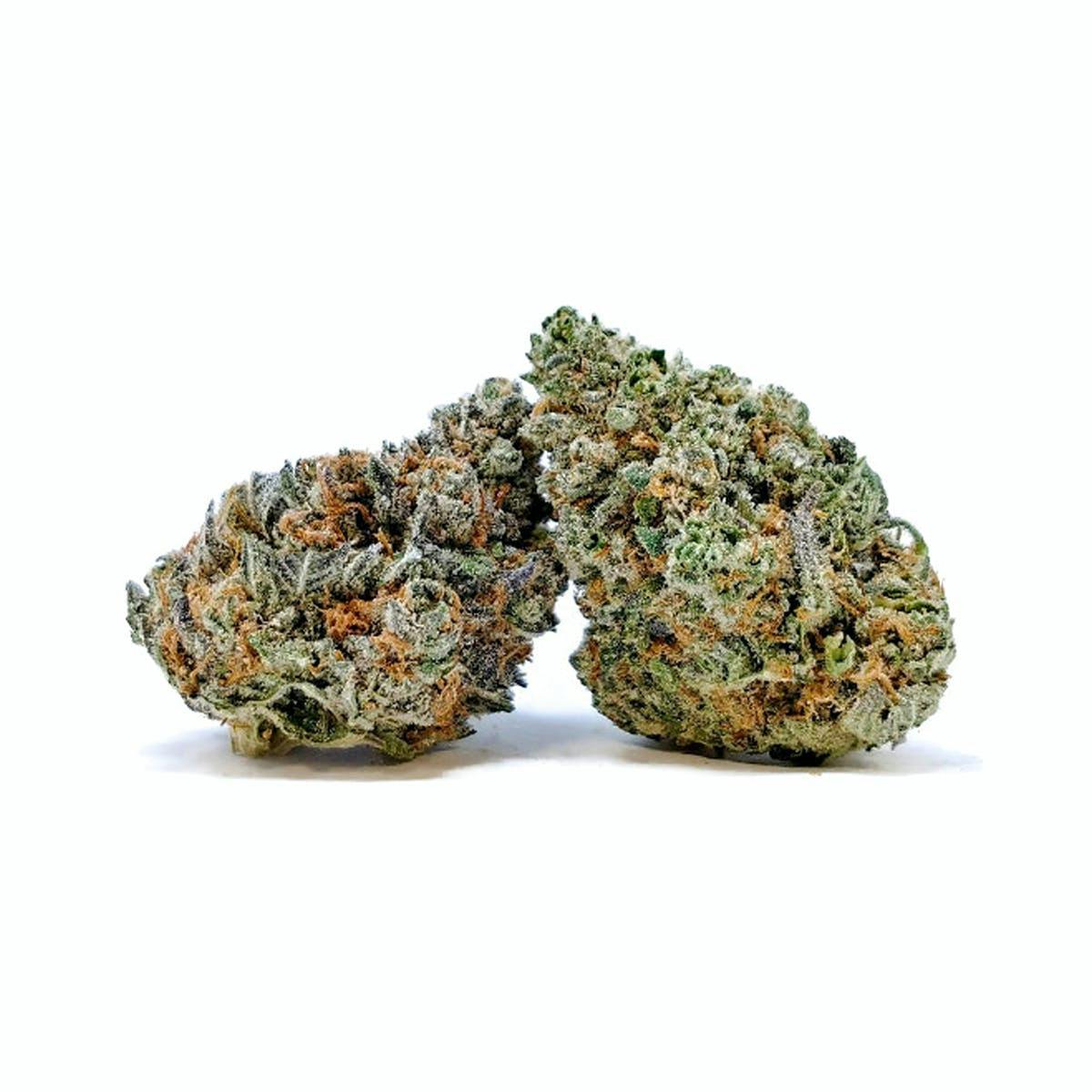 Photo of Platinum Shelf – I-95 (H)