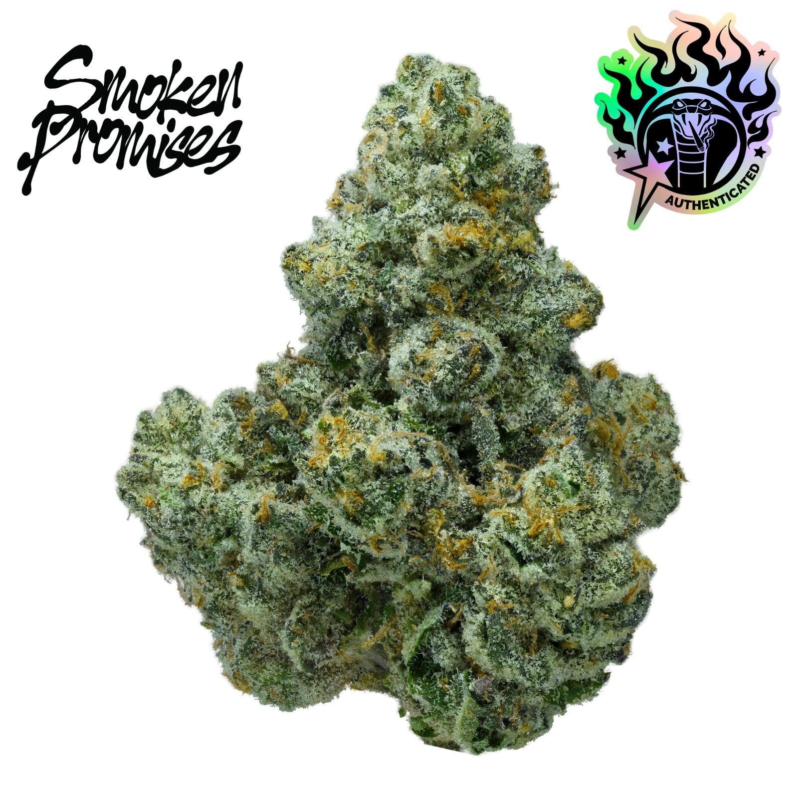 MYSTICAL GELATO-1