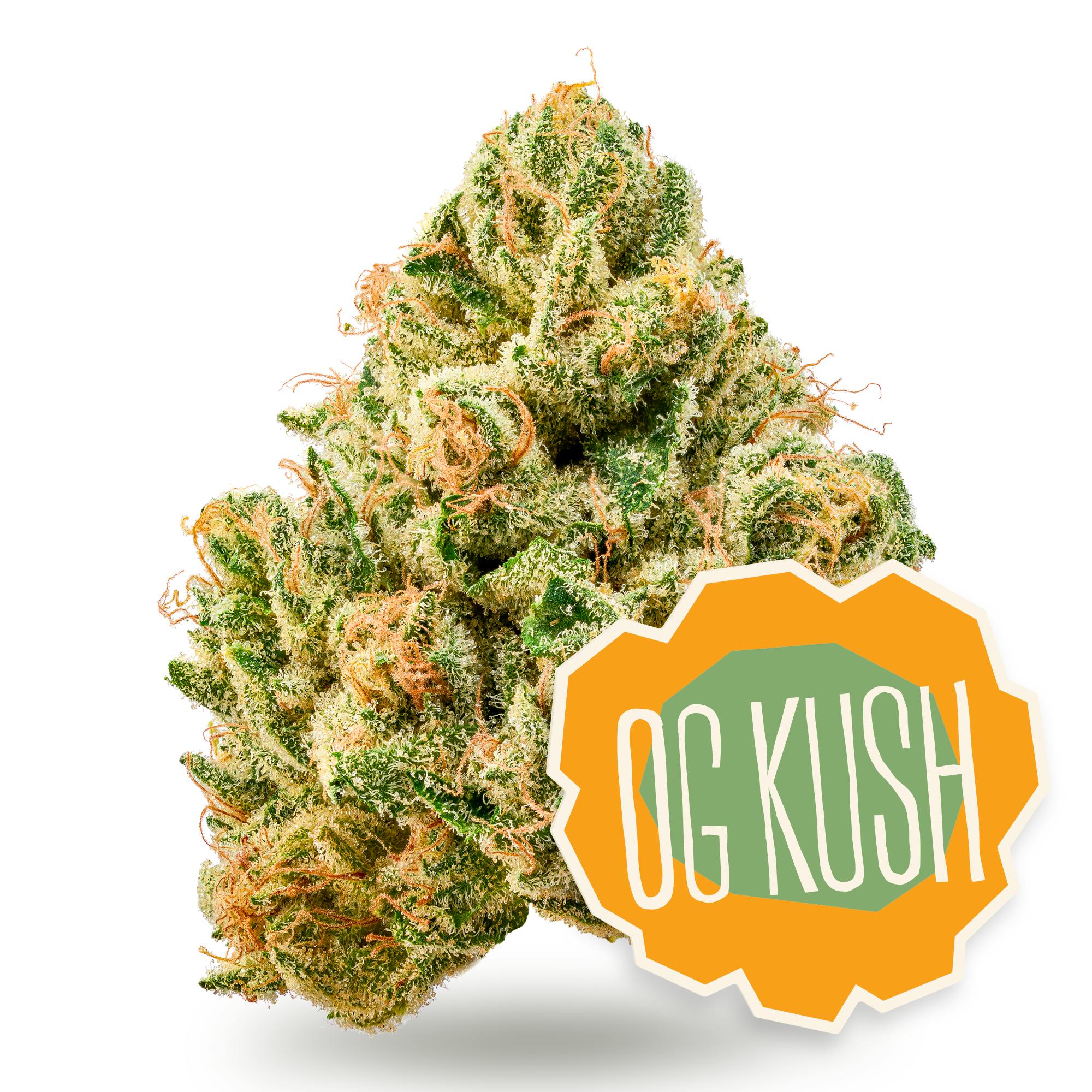 Shop District Cannabis OG Kush in Hagerstown | DISTRICT