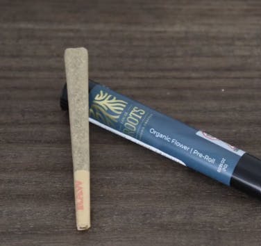 Product Bubba Cheese | Pre Rolls | 1g