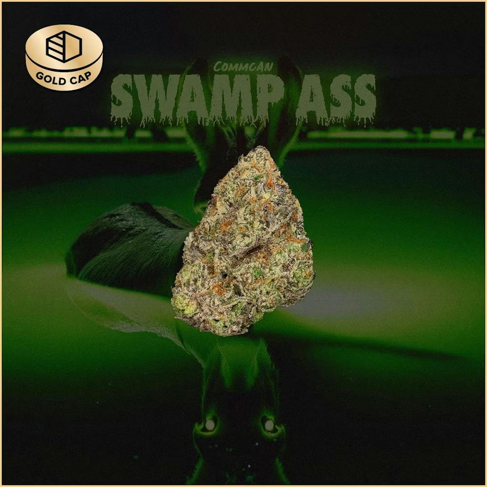 Product Swamp Ass | Flower | 3.5g