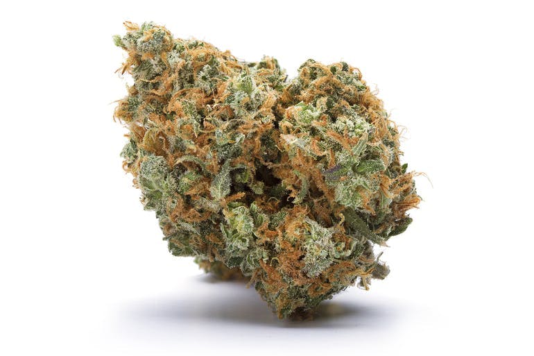 Super Lemon Haze | Blue Chip | Cannabis Strain - Purple Lotus