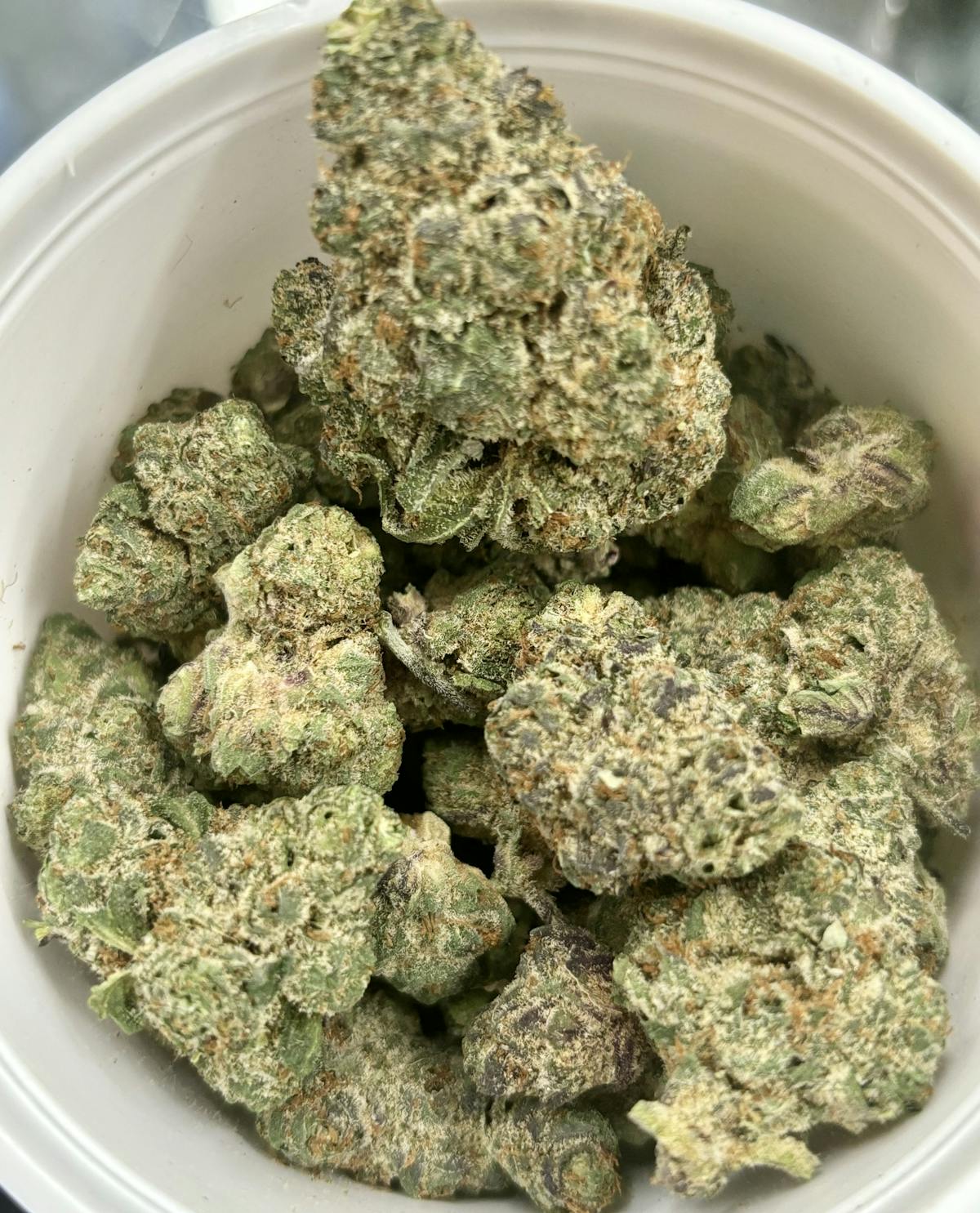 Photo of Gold Shelf – Red Runtz (H)