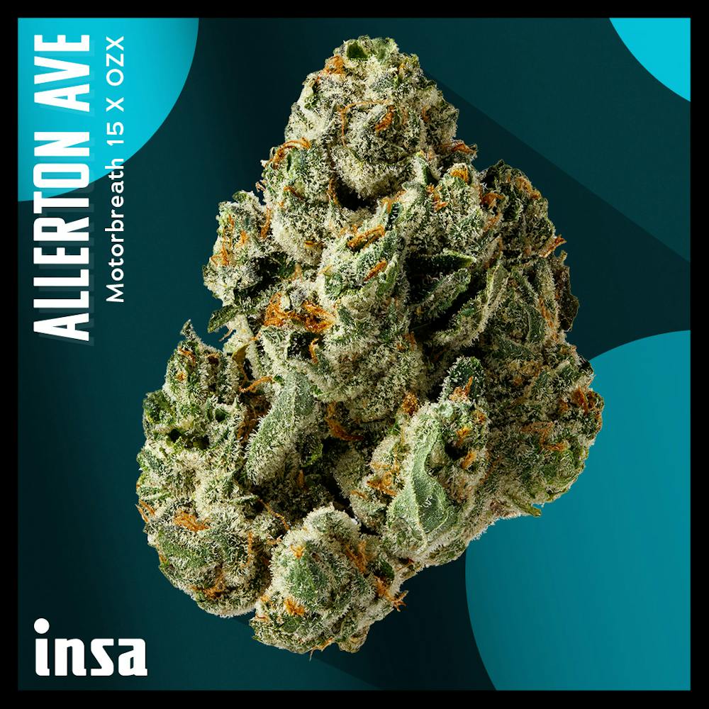 Product Allerton Ave - Flower