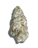 $85 Shampine Infused Flower 15g Pre-pack - Limit Bag