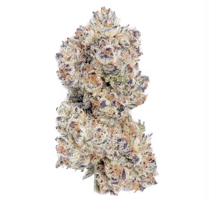 image of Stargazer | 1g Preroll