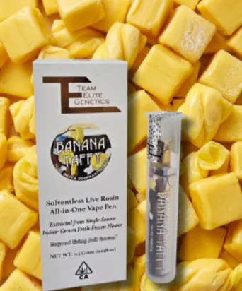 Team Elite Genetics Rosin AIO - Banana Taffy 0.5g | Harborside