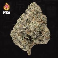 Product NEA Fire | Mexican Flambe | Flower