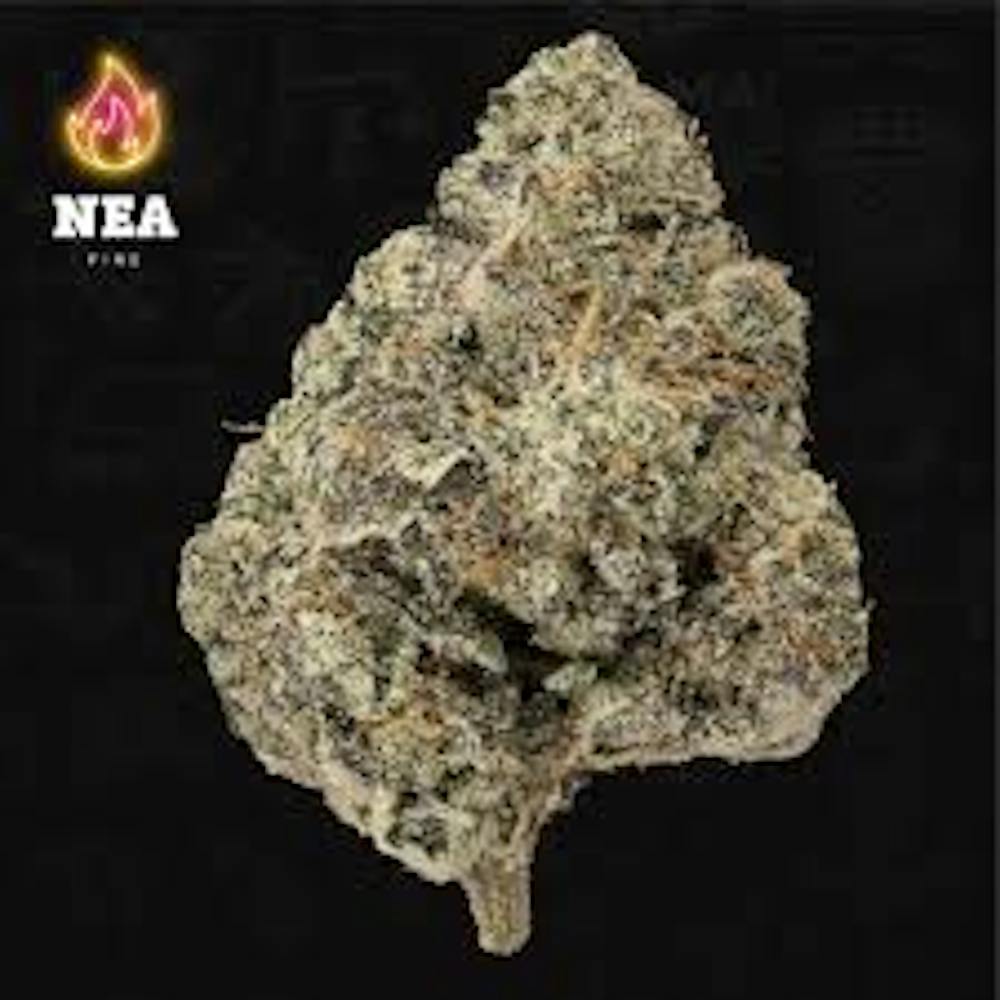 Product NEA Fire | Mexican Flambe | Flower