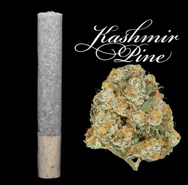 Kashmir Pine (IH) - 1g Pre Roll - Nimbus