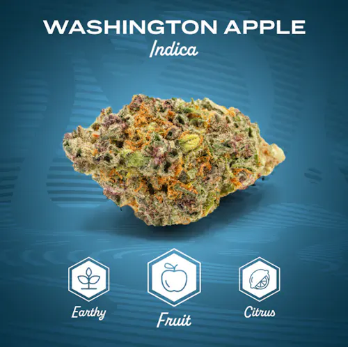 Washington Apple | Preroll 0.5g 2pk | 1g-1