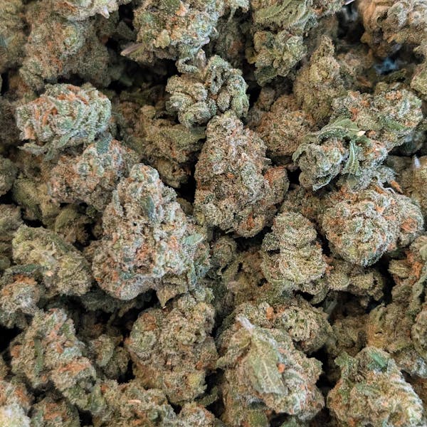 Jack Herer (Small Buds) - Deli Style - The Cure Company