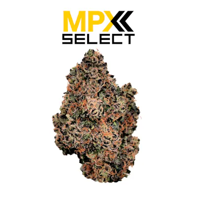 Sunshine State Flower - Tropicana Banana | GrowHealthy