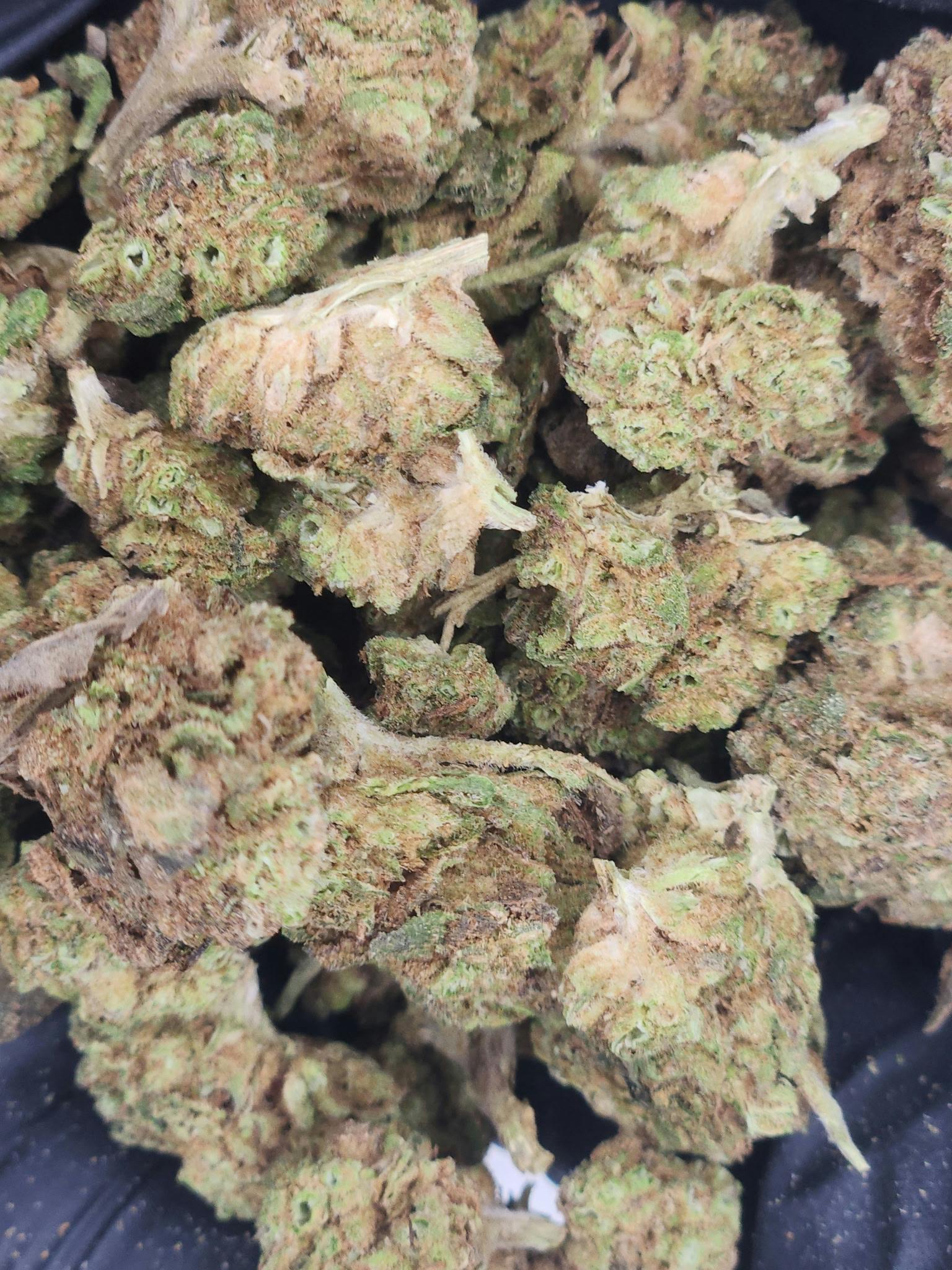 Product: House Brands | Bulk Bud - Sour Tangie
