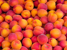 PEACH SEASON category image