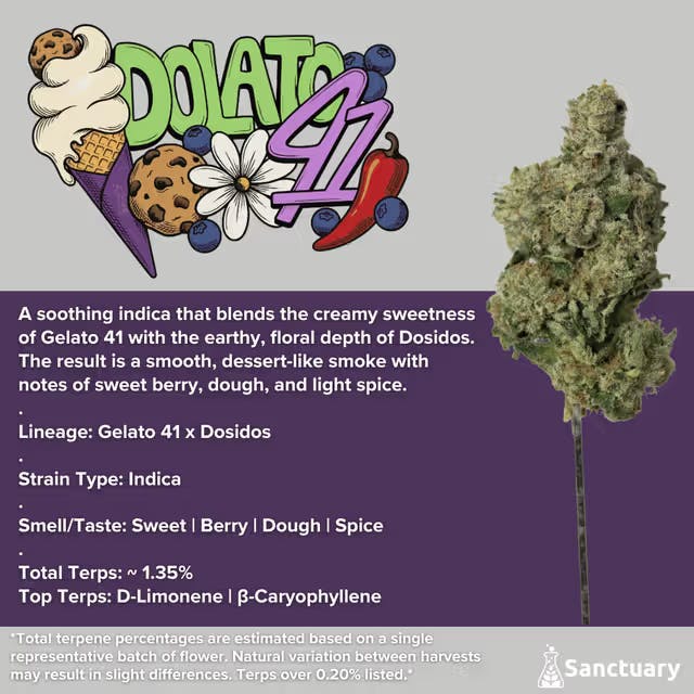 Sanctuary - Flower 28g - Dolato 41