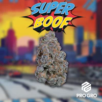 Superboof 1g Pre-Roll - product image at King of Budz