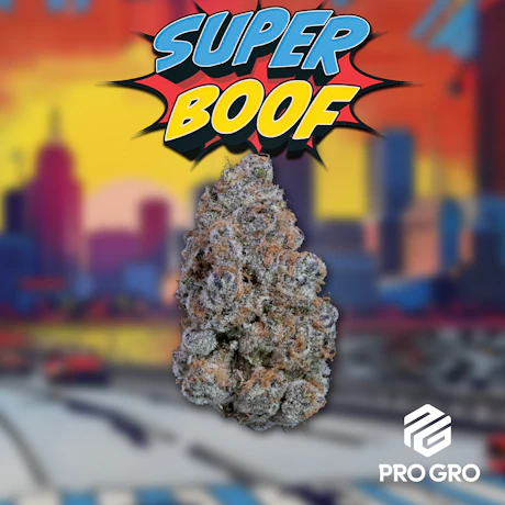 Superboof 1g Pre-Roll - product image at King of Budz