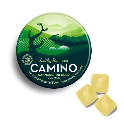 Social | Sparling Pear | 1:2 | 20pk