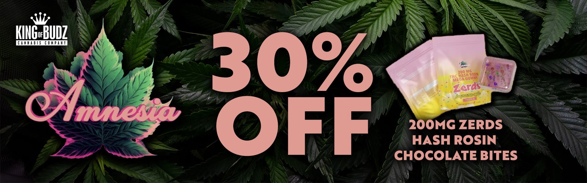 Amnesia - 200mg Zerds Hash Rosin Chocolate Bites - 30 Percent Off