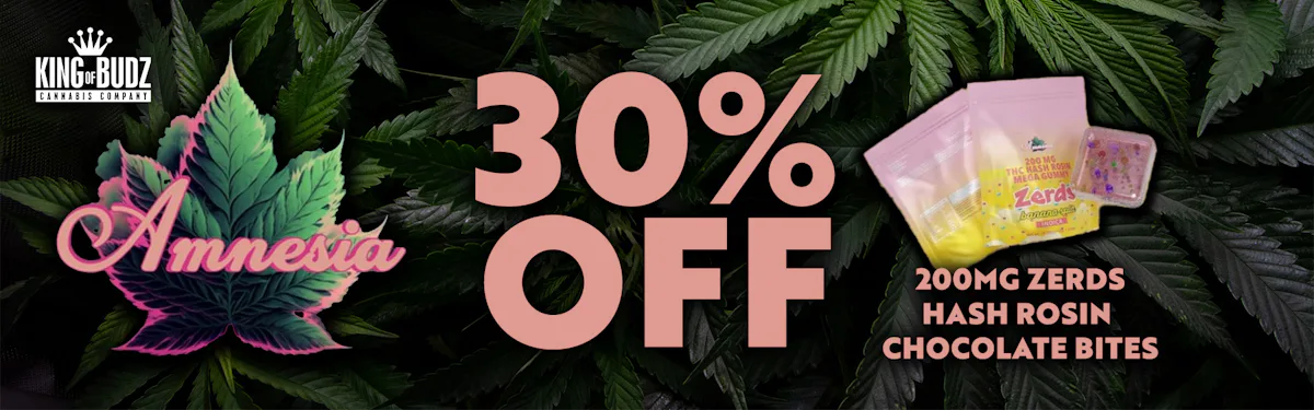 Amnesia - 200mg Zerds Hash Rosin Chocolate Bites - 30 Percent Off