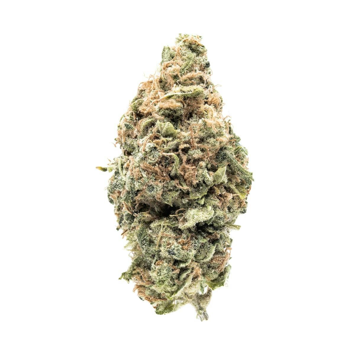 Photo of Popcorn Shelf – Jennys Kush (H)