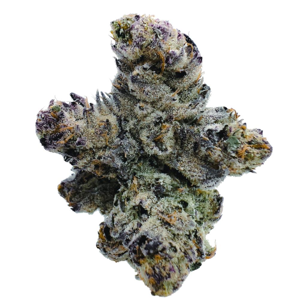 GATSBY CANNABIS CO. GATSBY CANNABIS CO. | RED RUNTZ | PRE-PACK HYBRID — FLOWER