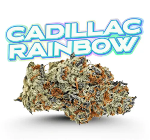 Cadillac Rainbows 3.5g – Fade Co. Holy Grail Series (Pre-Pack)-active
