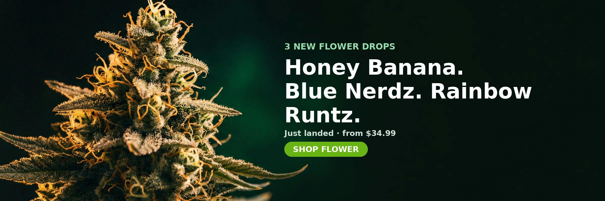 3 new Flower at MrGreen DC — Honey Banana, Blue Nerdz, Rainbow Runtz