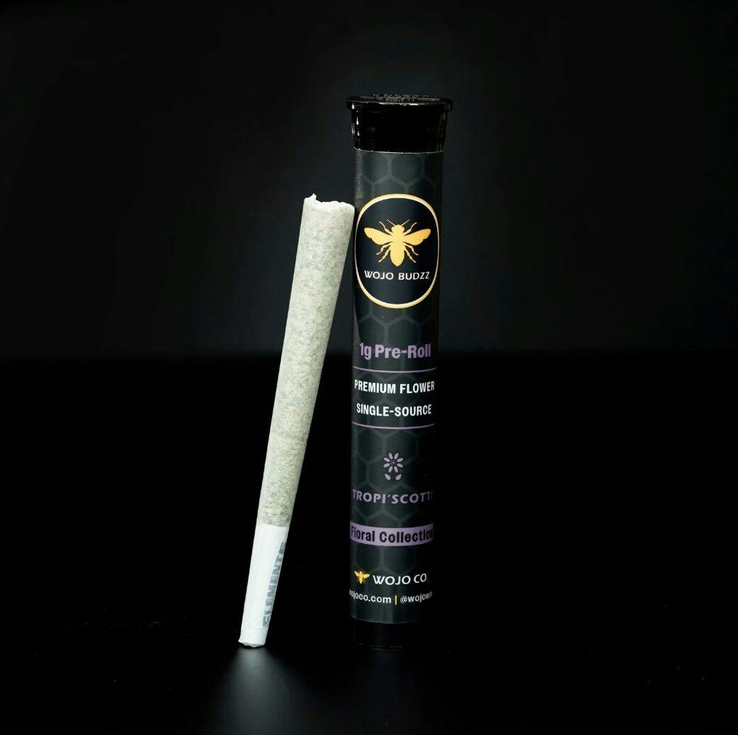 Wojo - 1g Preroll - Caribbean Breeze