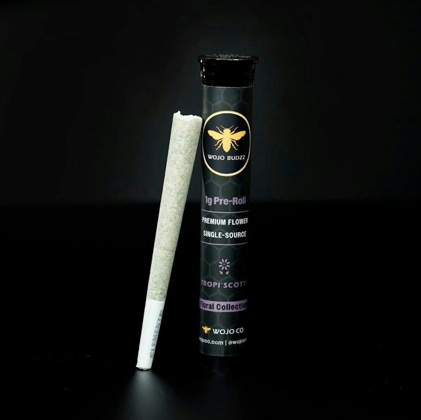 Wojo Premium Flower Pre-Roll | Bloom Smoothie
