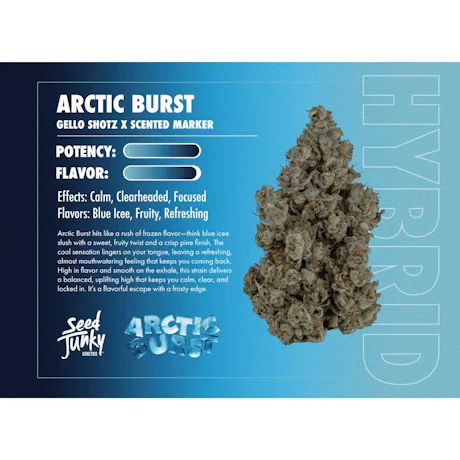 Seed Junky - 1g Preroll - Arctic Burst - product image at King of Budz