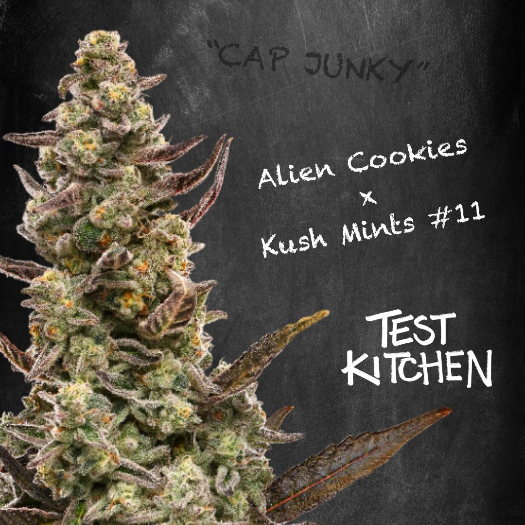Photo of Test Kitchen Alien Cookies X Kush Mints #11 PR 1G