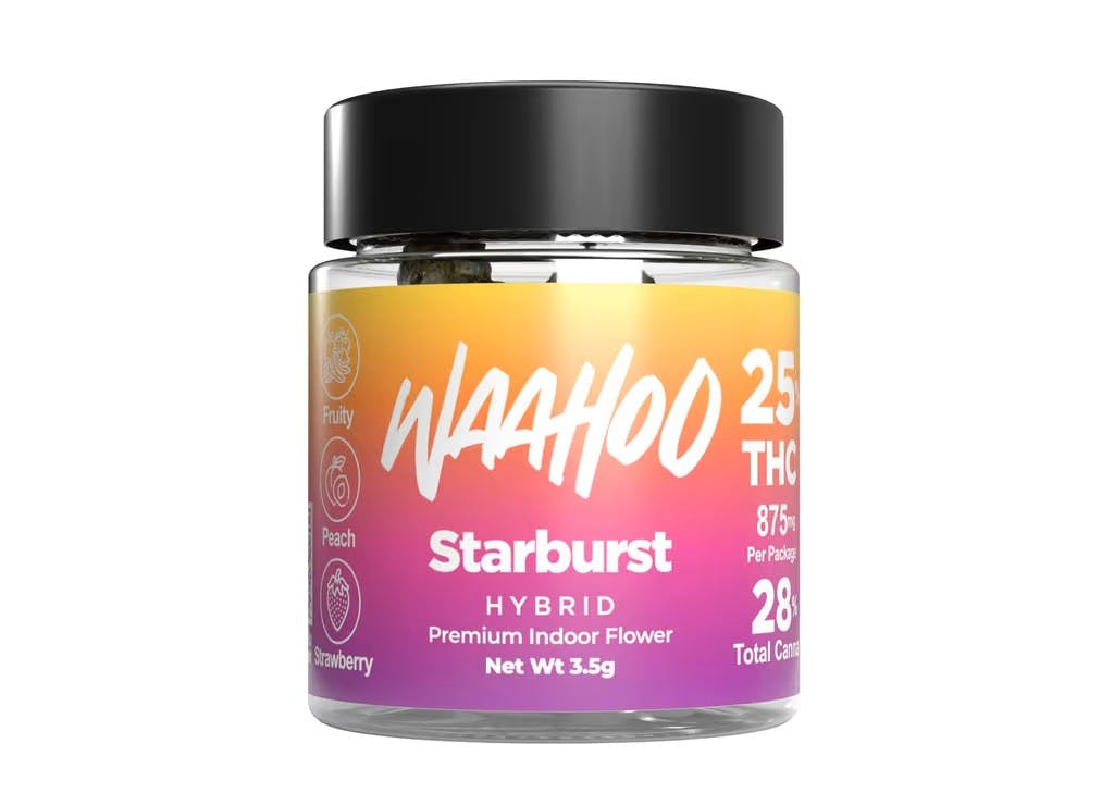 WaaHoo |  Starburst | Jarred Flower