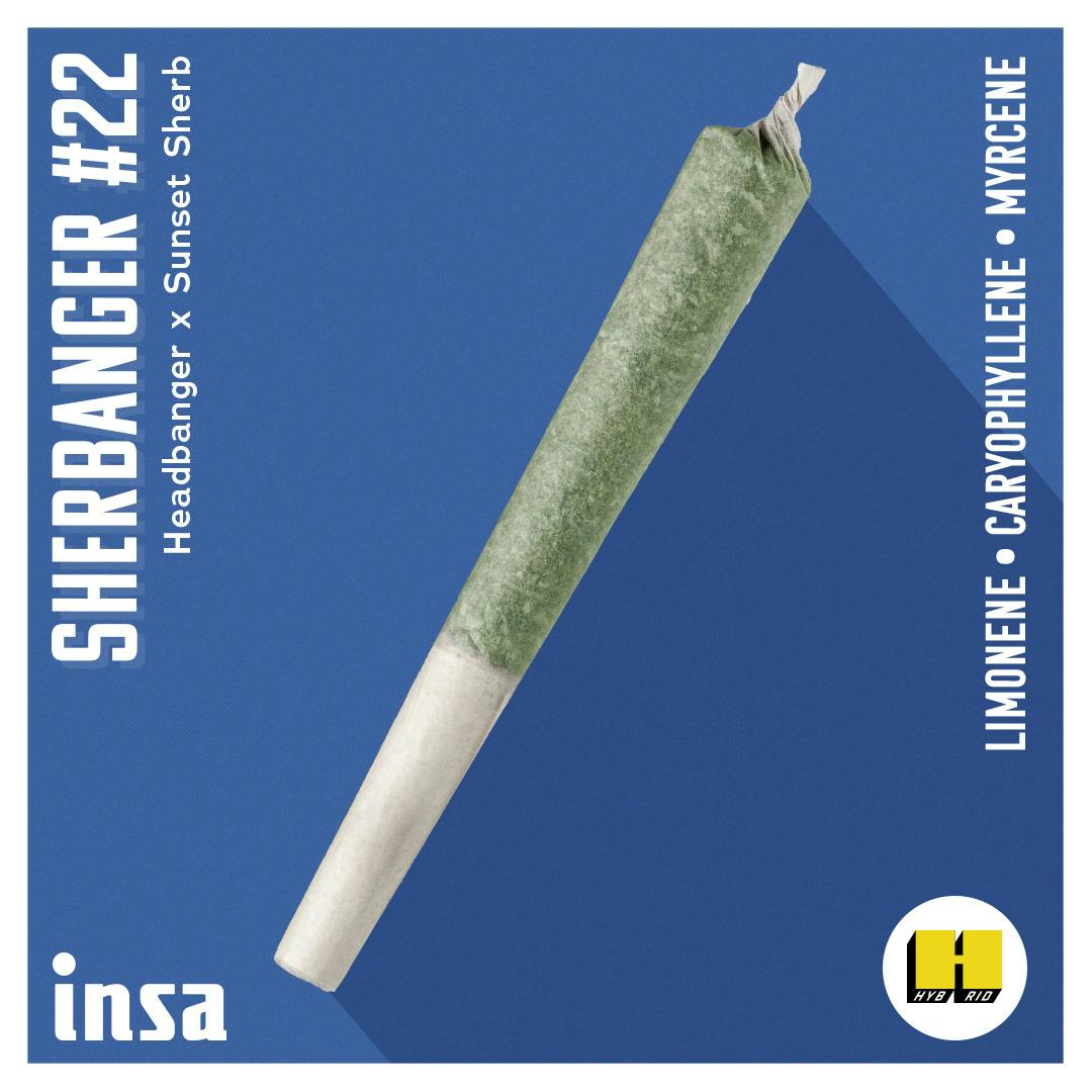 Pre-Roll - Sherbanger 22